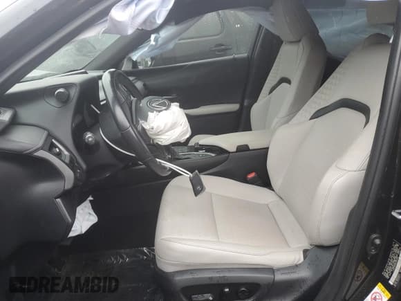 ✅ 2019 Lexus UX 250h • VIN: JTHU9JBH3K2003030 • Lot: 80153925. Listed on Copart with 66,160 mi. Free auction sales archive from the USA and detailed vehicle history report at DreamBid. Image 7.