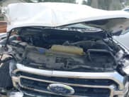 ✅ 2023 Ford F-150 XLT • VIN: 1FTFW1E58PFA19504 • Lot: 43272158. Listed on IAAI with 77,466 mi. Free auction sales archive from the USA and detailed vehicle history report at DreamBid. Image 10.