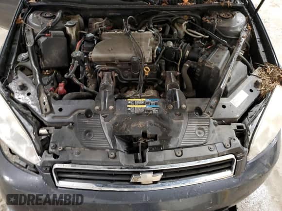 2009 Chevrolet Impala LT z VIN 2G1WT57N791246621, wystawiony jako Copart lot #85597115 z przebiegiem 280 003 mil mil oraz Szkoda całkowita • Salvage title. Historia ofert i sprzedaży dostępna na DreamBid. Obrazek 11.