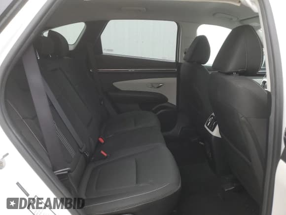 ✅ 2023 Hyundai Tucson SEL • VIN: 5NMJBCAE6PH217279 • Lot: 67725604. Wystawiony na Copart z przebiegiem 42 553 mil. Bezpłatny archiwum sprzedaży aukcyjnych z USA i szczegółowy raport historii pojazdu na DreamBid. Zdjęcie 11.