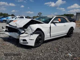 2014 Ford Mustang V6 с VIN 1ZVBP8EM8E5273502, выставлен на аукционе Copart как лот 71125485 с пробегом Не указан миль и Списание • Salvage title. История ставок и продаж доступна на DreamBid. Изображение 1.