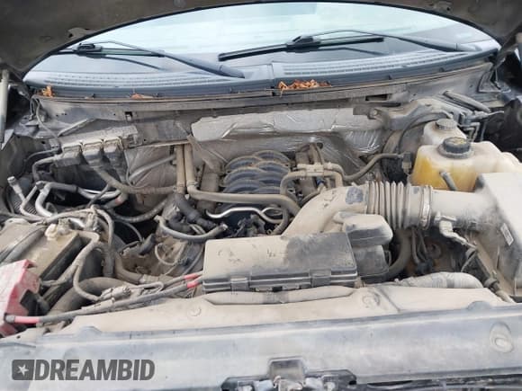 ✅ 2013 Ford F-150 XL • VIN: 1FTFX1EF6DKF24059 • Lot: 43727778. Wystawiony na IAAI z przebiegiem 178 836 mil. Bezpłatny archiwum sprzedaży aukcyjnych z USA i szczegółowy raport historii pojazdu na DreamBid. Zdjęcie 10.