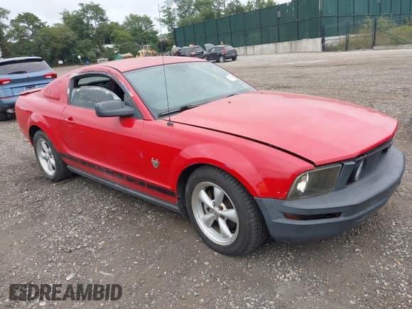✅ 2009 Ford Mustang • VIN: 1ZVHT80N795126826 • Lot: 43254226. Listed on IAAI with Not provided. Free auction sales archive from the USA and detailed vehicle history report at DreamBid. Image 1.