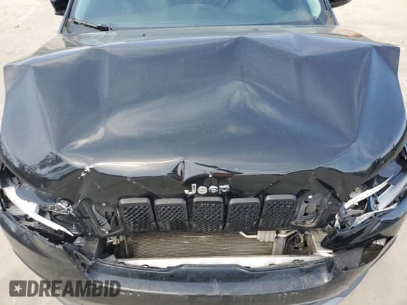 ✅ 2019 Jeep Cherokee Limited • VIN: 1C4PJMDX0KD131838 • Lot: 49286605. Listed on Copart with 85,358 mi. Free auction sales archive from the USA and detailed vehicle history report at DreamBid. Image 12.