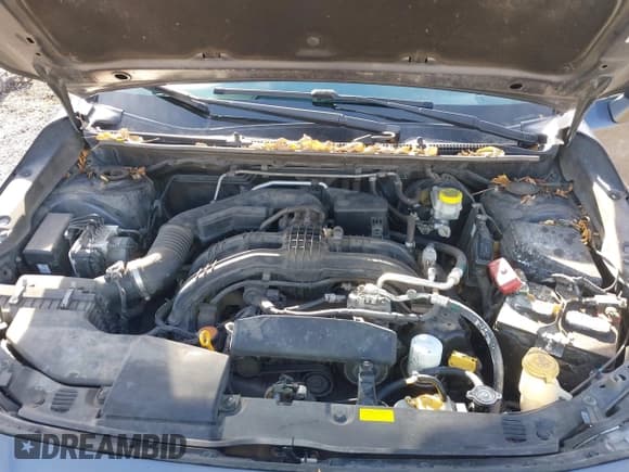 ✅ 2017 Subaru Impreza Limited • VIN: 4S3GTAT61H3700812 • Лот: 43804961. Опубликован ранее на IAAI с пробегом 250 961 миль. Бесплатный доступ к архиву аукционных продаж из США и подробный отчёт об истории автомобиля на DreamBid. Изображение 10.