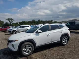 2024 Hyundai Tucson SEL с VIN 5NMJBCDE4RH401229, выставлен на аукционе Copart как лот 81184435 с пробегом 8 923 миль миль и Списание • Salvage title. История ставок и продаж доступна на DreamBid. Изображение 1.