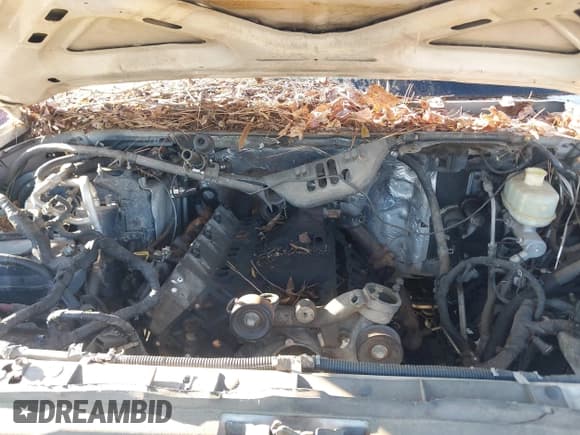 ✅ 2005 Ford Excursion Special Serv • VIN: 1FMSU41PX5EB36741 • Лот: 43633628. Опубликован ранее на IAAI с пробегом Не указан. Бесплатный доступ к архиву аукционных продаж из США и подробный отчёт об истории автомобиля на DreamBid. Изображение 10.