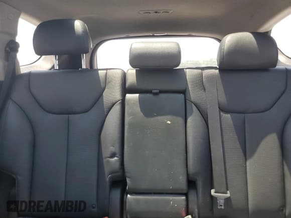 ✅ 2020 Hyundai Santa Fe Limited • VIN: 5NMS53AA6LH149391 • Lot: 57680123. Wystawiony na Copart z przebiegiem 55 463 mil. Bezpłatny archiwum sprzedaży aukcyjnych z USA i szczegółowy raport historii pojazdu na DreamBid. Zdjęcie 10.