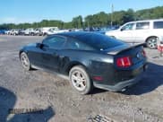 ✅ 2011 Ford Mustang V6 • VIN: 1ZVBP8AM8B5148727 • Lot: 42982170. Listed on IAAI with 124,948 mi. Free auction sales archive from the USA and detailed vehicle history report at DreamBid. Image 3.