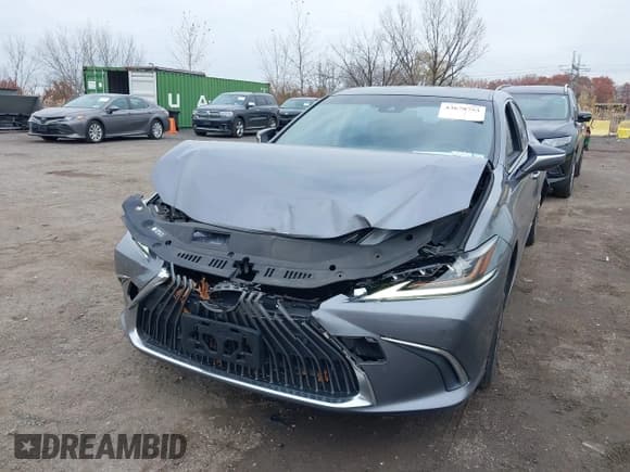 ✅ 2019 Lexus ES 300h Luxury • VIN: JTHB21B17K2007631 • Lot: 43678753. Listed on IAAI with 79,394 mi. Free auction sales archive from the USA and detailed vehicle history report at DreamBid. Image 6.