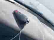 2010 Dodge 1500 ST с VIN 1D7RB1CT5AS247538, выставлен на аукционе IAAI как лот 42264745 с пробегом 148 063 миль миль и . История ставок и продаж доступна на DreamBid. Изображение 11.