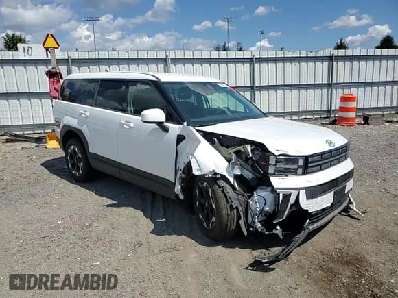 ✅ 2024 Hyundai Santa Fe SE • VIN: 5NMP1DGLXRH014990 • Lot: 70913115. Wystawiony na Copart z przebiegiem Nie podano. Bezpłatny archiwum sprzedaży aukcyjnych z USA i szczegółowy raport historii pojazdu na DreamBid. Zdjęcie 14.