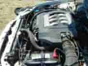 2001 Honda Accord EX с VIN 1HGCG22581A016294, выставлен на аукционе IAAI как лот 42651031 с пробегом 167 045 миль миль и . История ставок и продаж доступна на DreamBid. Изображение 21.