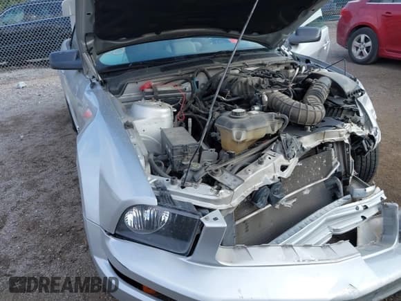 ✅ 2009 Ford Mustang • VIN: 1ZVHT84N095114611 • Lot: 43427616. Listed on IAAI with 81,282 mi. Free auction sales archive from the USA and detailed vehicle history report at DreamBid. Image 6.