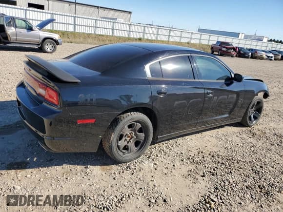 ✅ 2012 Dodge Charger Police • VIN: 2C3CDXAT3CH154094 • Лот: 87256895. Опубликован ранее на Copart с пробегом 160 241 миль. Бесплатный доступ к архиву аукционных продаж из США и подробный отчёт об истории автомобиля на DreamBid. Изображение 3.