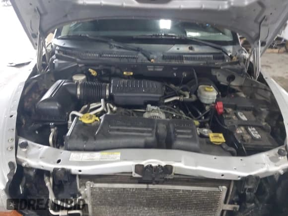 ✅ 2004 Dodge Dakota SLT • VIN: 1D7HG48N64S523528 • Lot: 41199575. Wystawiony na IAAI z przebiegiem 261 239 mil. Bezpłatny archiwum sprzedaży aukcyjnych z USA i szczegółowy raport historii pojazdu na DreamBid. Zdjęcie 10.