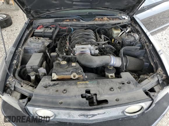 ✅ 2006 Ford Mustang GT Deluxe • VIN: 1ZVHT82H965213680 • Lot: 80525525. Wystawiony na Copart z przebiegiem 161 509 mil. Bezpłatny archiwum sprzedaży aukcyjnych z USA i szczegółowy raport historii pojazdu na DreamBid. Zdjęcie 11.