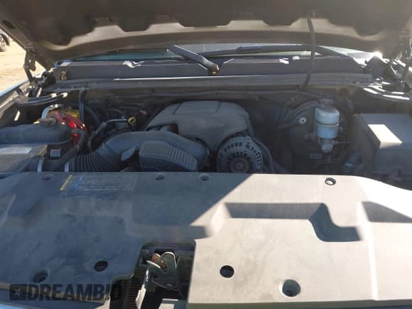 ✅ 2007 Chevrolet Silverado 1500 1LT • VIN: 2GCEC13J171730196 • Lot: 43476968. Wystawiony na IAAI z przebiegiem 319 737 mil. Bezpłatny archiwum sprzedaży aukcyjnych z USA i szczegółowy raport historii pojazdu na DreamBid. Zdjęcie 10.