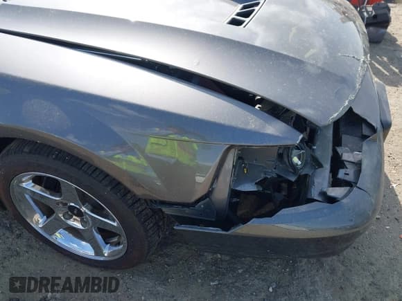 ✅ 2003 Ford Mustang SVT Cobra • VIN: 1FAFP49Y83F408856 • Lot: 41909138. Wystawiony na IAAI z przebiegiem 74 155 mil. Bezpłatny archiwum sprzedaży aukcyjnych z USA i szczegółowy raport historii pojazdu na DreamBid. Zdjęcie 17.