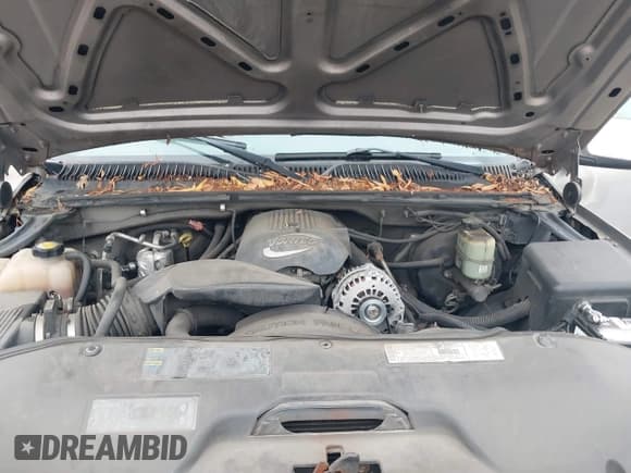 ✅ 2001 Chevrolet Silverado 1500 LT • VIN: 1GCEC19T91Z326392 • Лот: 43508935. Опубликован ранее на IAAI с пробегом Не указан. Бесплатный доступ к архиву аукционных продаж из США и подробный отчёт об истории автомобиля на DreamBid. Изображение 10.