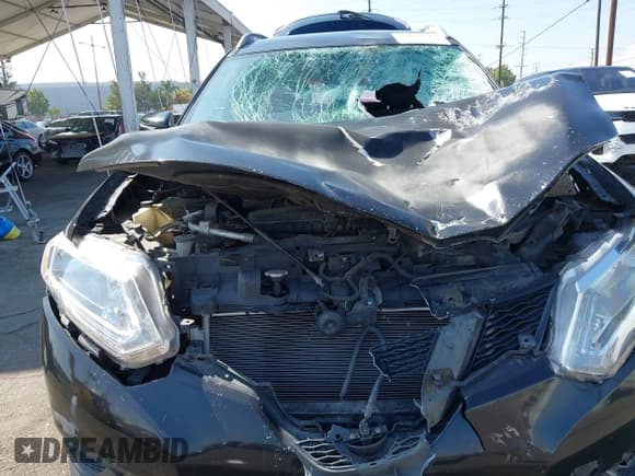 ✅ 2014 Nissan Rogue SV • VIN: 5N1AT2MV4EC821732 • Lot: 43411219. Wystawiony na IAAI z przebiegiem 217 054 mil. Bezpłatny archiwum sprzedaży aukcyjnych z USA i szczegółowy raport historii pojazdu na DreamBid. Zdjęcie 6.