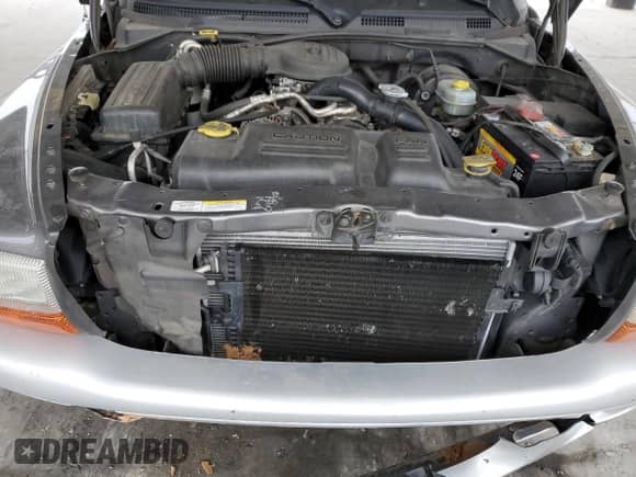 2002 Dodge Dakota SLT z VIN 1B7HL48X32S708723, wystawiony jako Copart lot #41940825 z przebiegiem 112 145 mil mil oraz Szkoda całkowita • Salvage title. Historia ofert i sprzedaży dostępna na DreamBid. Obrazek 12.