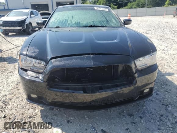 ✅ 2011 Dodge Charger Rallye • VIN: 2B3CL3CG0BH503591 • Лот: 65943165. Опубликован ранее на Copart с пробегом 156 700 миль. Бесплатный доступ к архиву аукционных продаж из США и подробный отчёт об истории автомобиля на DreamBid. Изображение 5.