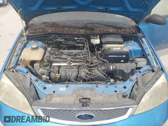 ✅ 2007 Ford Focus S • VIN: 1FAFP31N77W138844 • Lot: 60702195. Listed on Copart with Not provided. Free auction sales archive from the USA and detailed vehicle history report at DreamBid. Image 11.