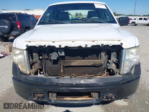 ✅ 2010 Ford F-150 XL • VIN: 1FTEX1C85AKE38270 • Lot: 43590523. Wystawiony na IAAI z przebiegiem 250 535 mil. Bezpłatny archiwum sprzedaży aukcyjnych z USA i szczegółowy raport historii pojazdu na DreamBid. Zdjęcie 6.