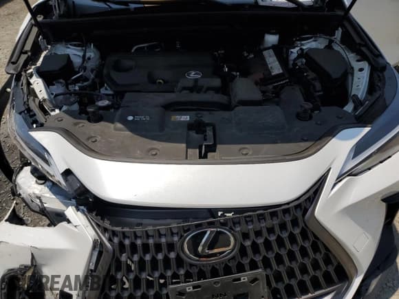 ✅ 2024 Lexus NX 250 • VIN: JTJADCAZ3R2013850 • Lot: 64885525. Wystawiony na Copart z przebiegiem 22 111 mil. Bezpłatny archiwum sprzedaży aukcyjnych z USA i szczegółowy raport historii pojazdu na DreamBid. Zdjęcie 12.