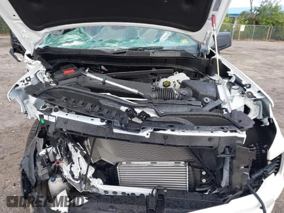 ✅ 2025 Chevrolet Silverado 1500 Custom • VIN: 3GCPABEK2SG319996 • Lot: 43542425. Listed on IAAI with Not provided. Free auction sales archive from the USA and detailed vehicle history report at DreamBid. Image 10.