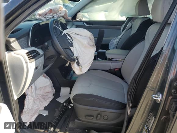 ✅ 2020 Hyundai Palisade SEL • VIN: KM8R3DHE0LU087171 • Лот: 82067945. Опубликован ранее на Copart с пробегом 43 157 миль. Бесплатный доступ к архиву аукционных продаж из США и подробный отчёт об истории автомобиля на DreamBid. Изображение 7.