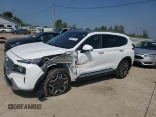 ✅ 2023 Hyundai Santa Fe Limited • VIN: 5NMS44AL2PH609825 • Lot: 69465115. Wystawiony na Copart z przebiegiem 10 031 mil. Bezpłatny archiwum sprzedaży aukcyjnych z USA i szczegółowy raport historii pojazdu na DreamBid. Zdjęcie 1.