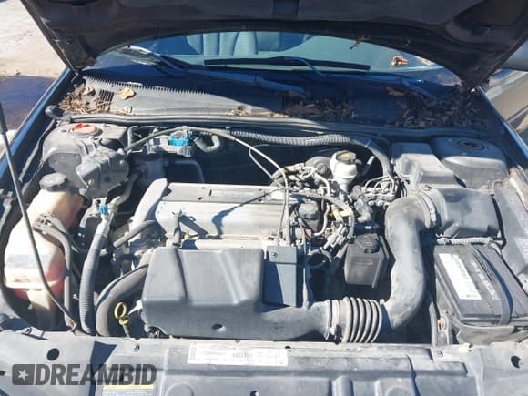 ✅ 2003 Chevrolet Cavalier • VIN: 1G1JC12F337198970 • Lot: 43395113. Listed on IAAI with 82,046 mi. Free auction sales archive from the USA and detailed vehicle history report at DreamBid. Image 10.