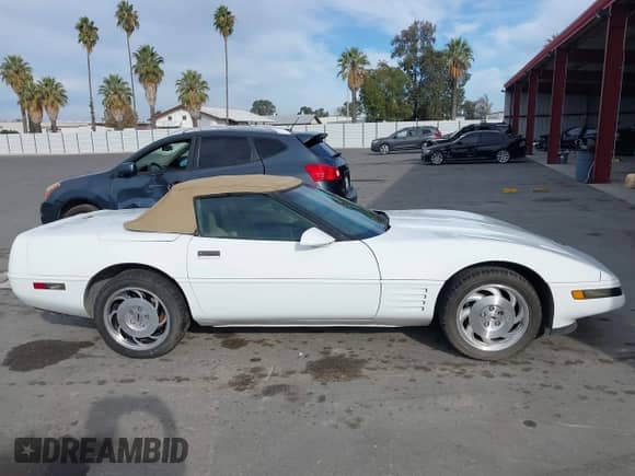 ✅ 1994 Chevrolet Corvette • VIN: 1G1YY32P1R5102357 • Lot: 43618578. Wystawiony na IAAI z przebiegiem 138 221 mil. Bezpłatny archiwum sprzedaży aukcyjnych z USA i szczegółowy raport historii pojazdu na DreamBid. Zdjęcie 13.