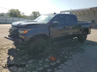 ✅ 2024 Chevrolet Silverado 1500 Custom Trail Boss • VIN: 3GCPDCEK3RG154533 • Lot: 80881115. Listed on Copart with 17,821 mi. Free auction sales archive from the USA and detailed vehicle history report at DreamBid. Image 1.