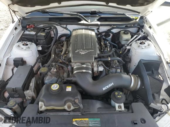 ✅ 2008 Ford Mustang GT Deluxe • VIN: 1ZVHT82H185142185 • Lot: 90108635. Wystawiony na Copart z przebiegiem 107 068 mil. Bezpłatny archiwum sprzedaży aukcyjnych z USA i szczegółowy raport historii pojazdu na DreamBid. Zdjęcie 11.