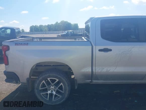 ✅ 2019 Chevrolet Silverado 1500 Custom Trail Boss • VIN: 3GCPYCEF3KG126700 • Lot: 42160575. Wystawiony na IAAI z przebiegiem 116 815 mil. Bezpłatny archiwum sprzedaży aukcyjnych z USA i szczegółowy raport historii pojazdu na DreamBid. Zdjęcie 14.