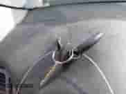 2007 Chevrolet Impala LS with VIN 2G1WB58K479313634, listed as a IAAI auction lot 43420723 with 207,927 mi miles and . Bid and sale history available at DreamBid. Image 11.