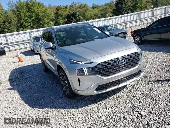 ✅ 2022 Hyundai Santa Fe Calligraphy • VIN: 5NMS54AL3NH416528 • Lot: 89697195. Listed on Copart with 61,614 mi. Free auction sales archive from the USA and detailed vehicle history report at DreamBid. Image 14.