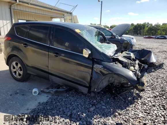 ✅ 2014 Ford Escape SE • VIN: 1FMCU9GX4EUD94185 • Лот: 81758625. Опубликован ранее на Copart с пробегом Не указан. Бесплатный доступ к архиву аукционных продаж из США и подробный отчёт об истории автомобиля на DreamBid. Изображение 4.