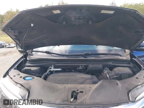 ✅ 2019 Honda Pilot EX-L • VIN: 5FNYF5H51KB044995 • Lot: 43793459. Listed on IAAI with 57,747 mi. Free auction sales archive from the USA and detailed vehicle history report at DreamBid. Image 10.