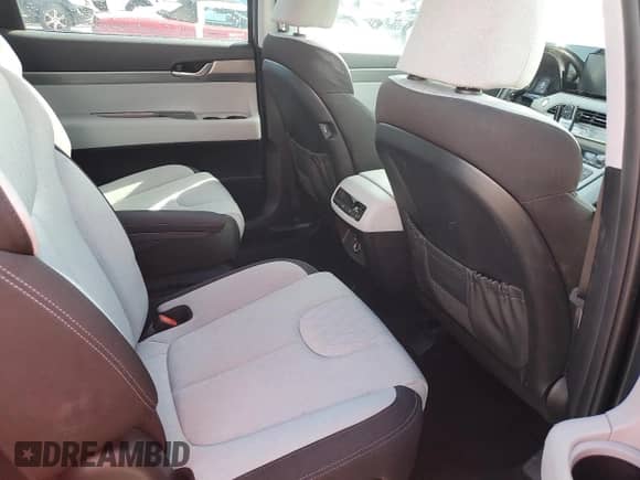 2022 Hyundai Palisade SEL с VIN KM8R2DHE2NU407323, выставлен на аукционе Copart как лот 76627804 с пробегом 20 706 миль миль и Списание • Salvage title. История ставок и продаж доступна на DreamBid. Изображение 11.