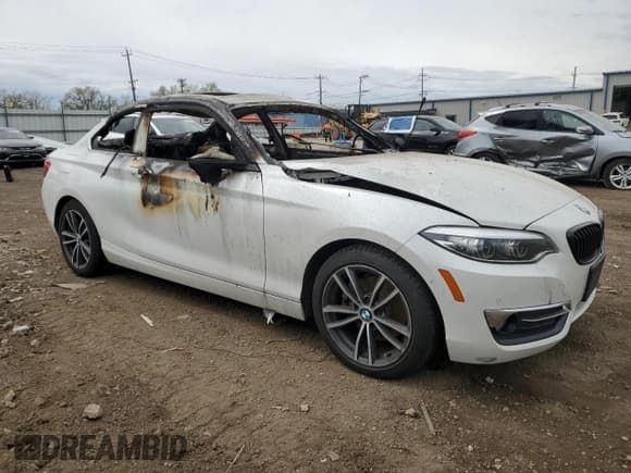 ✅ 2019 BMW 2 Series 230i xDrive • VIN: WBA2J3C57KVD49337 • Lot: 55321125. Wystawiony na Copart z przebiegiem Nie podano. Bezpłatny archiwum sprzedaży aukcyjnych z USA i szczegółowy raport historii pojazdu na DreamBid. Zdjęcie 4.