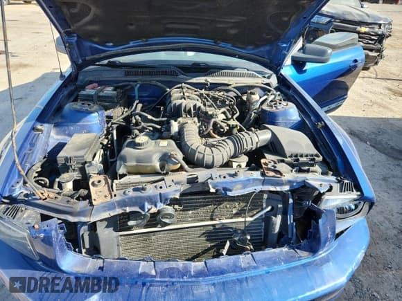 ✅ 2009 Ford Mustang • VIN: 1ZVHT80N295114874 • Лот: 70127945. Опубликован ранее на Copart с пробегом 175 432 миль. Бесплатный доступ к архиву аукционных продаж из США и подробный отчёт об истории автомобиля на DreamBid. Изображение 11.