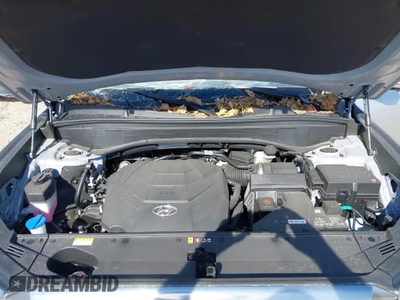 ✅ 2024 Hyundai Palisade Calligraphy • VIN: KM8R7DGE5RU695296 • Лот: 40627644. Опубликован ранее на IAAI с пробегом 3 149 миль. Бесплатный доступ к архиву аукционных продаж из США и подробный отчёт об истории автомобиля на DreamBid. Изображение 10.