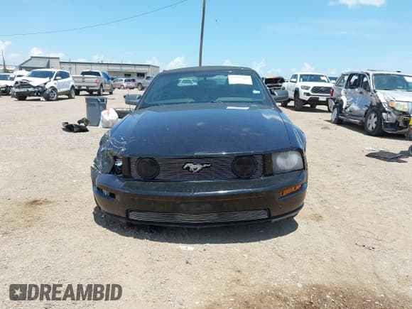 ✅ 2007 Ford Mustang GT Deluxe • VIN: 1ZVFT85H875254094 • Lot: 42593468. Wystawiony na IAAI z przebiegiem 126 596 mil. Bezpłatny archiwum sprzedaży aukcyjnych z USA i szczegółowy raport historii pojazdu na DreamBid. Zdjęcie 12.