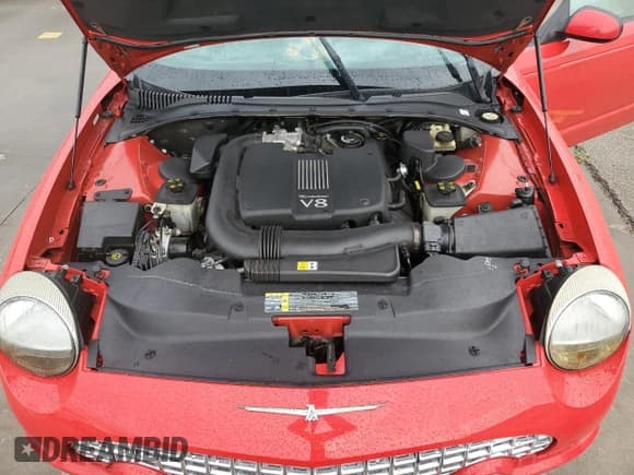 ✅ 2002 Ford Thunderbird Hardtop Premium • VIN: 1FAHP60A52Y104598 • Lot: 74252034. Wystawiony na Copart z przebiegiem Nie podano. Bezpłatny archiwum sprzedaży aukcyjnych z USA i szczegółowy raport historii pojazdu na DreamBid. Zdjęcie 11.