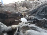 ✅ 2000 Ford Ranger • VIN: 1FTZR0875YTB27562 • Lot: 67226424. Listed on Copart with Not provided. Free auction sales archive from the USA and detailed vehicle history report at DreamBid. Image 9.