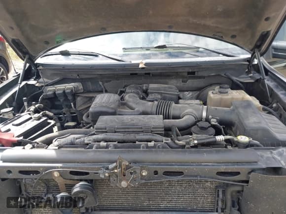 ✅ 2009 Ford F-150 XL • VIN: 1FTPW14V39FA62186 • Lot: 43203186. Listed on IAAI with 234,283 mi. Free auction sales archive from the USA and detailed vehicle history report at DreamBid. Image 10.